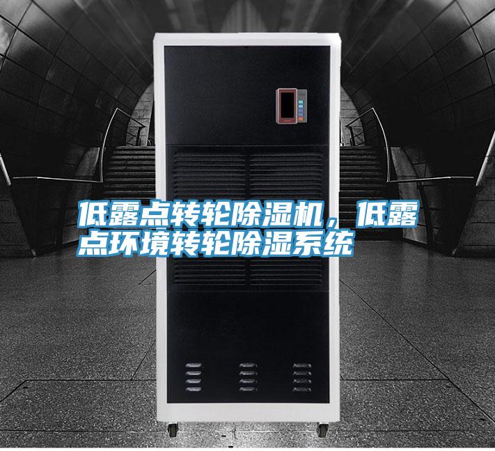 低露点转轮好色先生免费APP，低露点环境转轮除湿系统