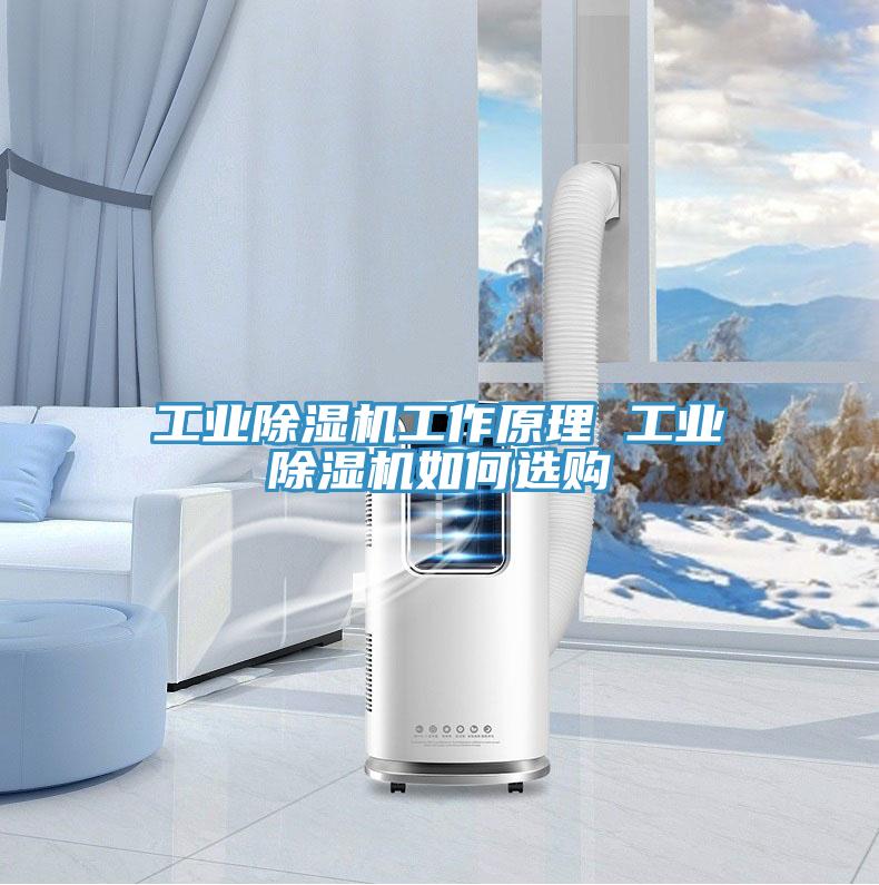 工业好色先生免费APP工作原理 工业好色先生免费APP如何选购