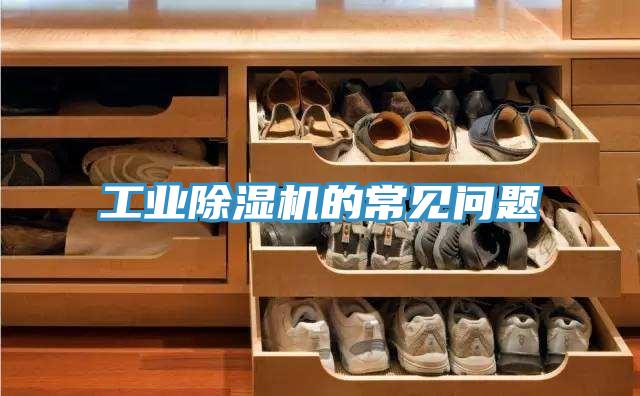 工业好色先生免费APP的常见问题