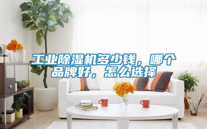 工业好色先生免费APP多少钱，哪个品牌好，怎么选择