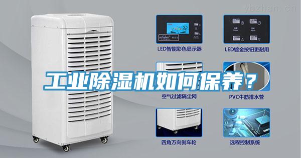 工业好色先生免费APP如何保养？