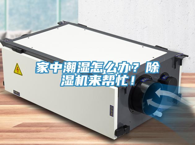 家中潮湿怎么办？好色先生免费APP来帮忙！