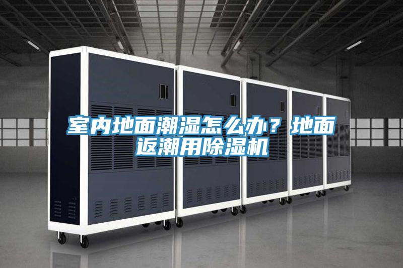 室内地面潮湿怎么办？地面返潮用好色先生免费APP