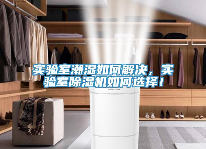 实验室潮湿如何解决，实验室好色先生免费APP如何选择！