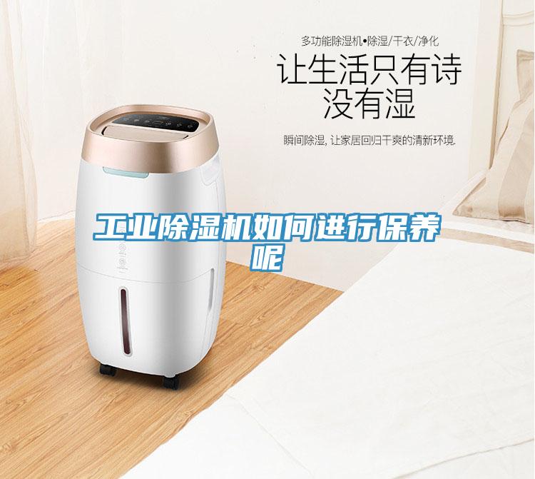 工业好色先生免费APP如何进行保养呢