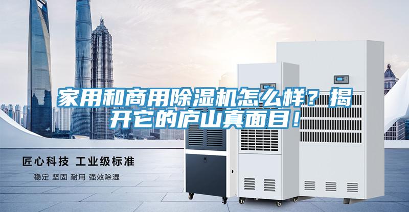 家用和商用好色先生免费APP怎么样？揭开它的庐山真面目！