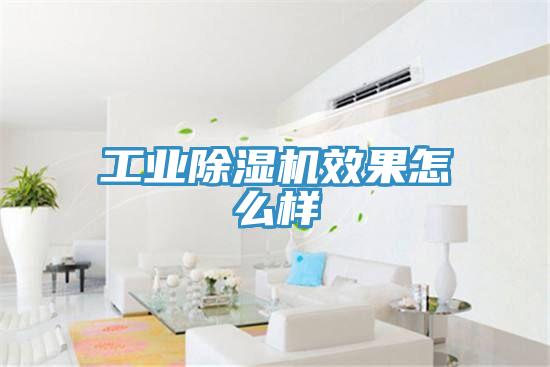 工业好色先生免费APP效果怎么样