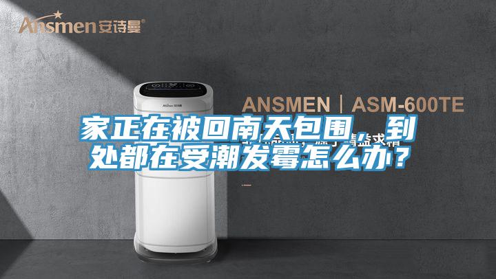 家正在被回南天包围，到处都在受潮发霉怎么办？