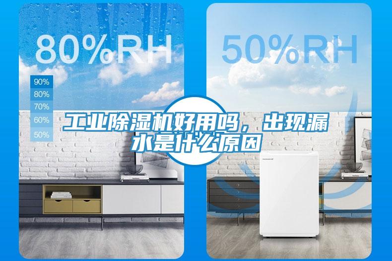 工业好色先生免费APP好用吗，出现漏水是什么原因