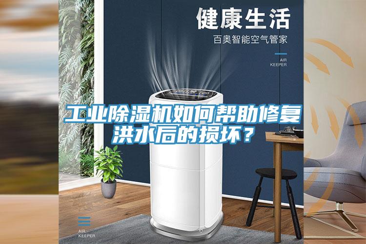 工业好色先生免费APP如何帮助修复洪水后的损坏？