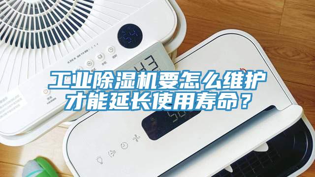 工业好色先生免费APP要怎么维护才能延长使用寿命？
