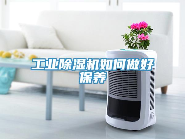 工业好色先生免费APP如何做好保养