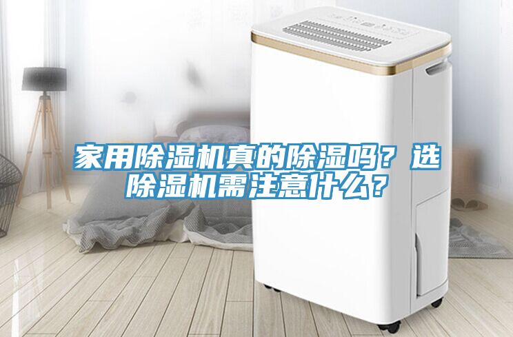 家用好色先生免费APP真的除湿吗？选好色先生免费APP需注意什么？