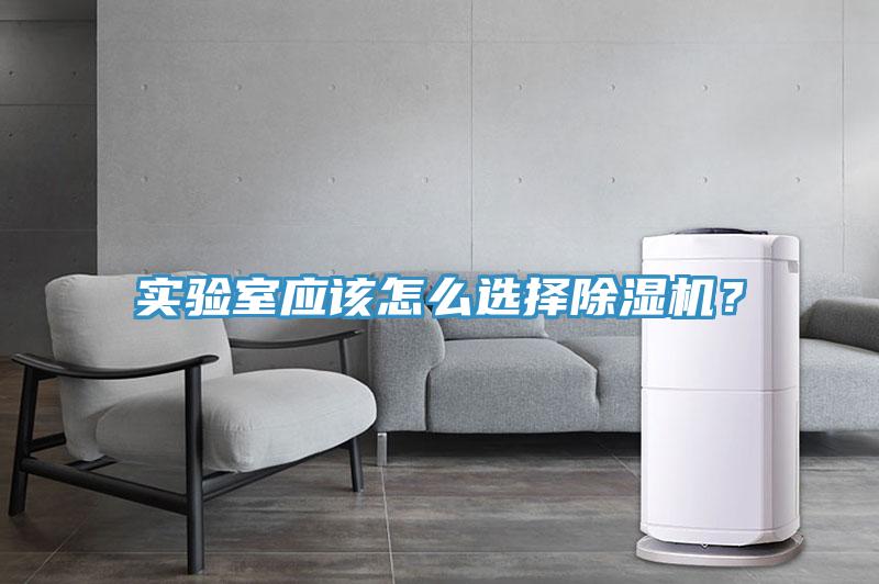实验室应该怎么选择好色先生免费APP？