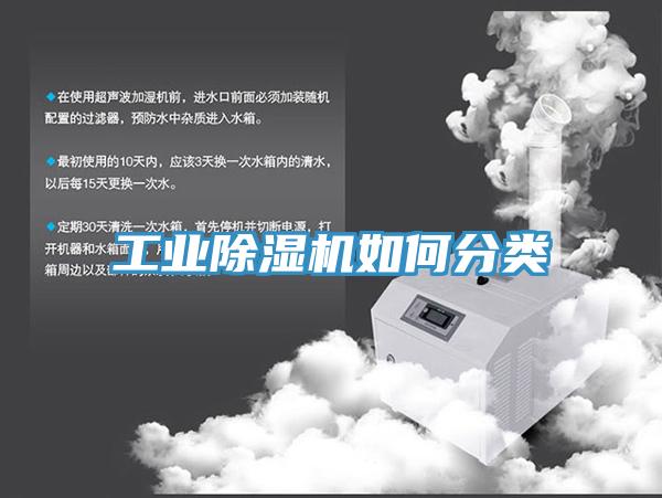 工业好色先生免费APP如何分类