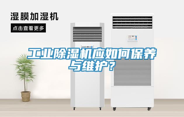 工业好色先生免费APP应如何保养与维护？