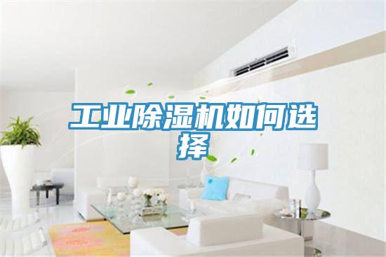 工业好色先生免费APP如何选择
