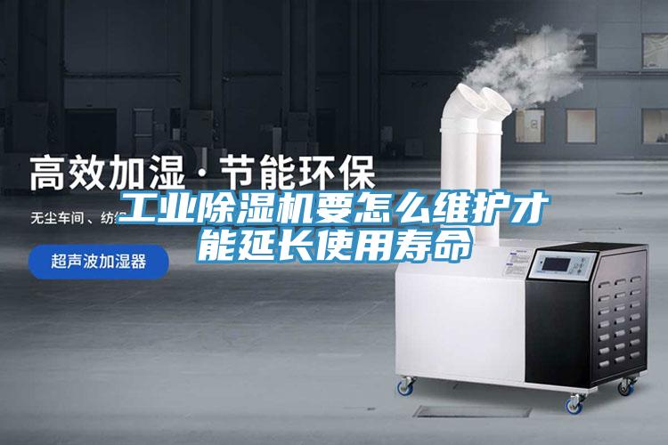 工业好色先生免费APP要怎么维护才能延长使用寿命