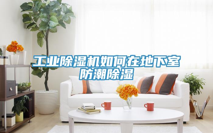 工业好色先生免费APP如何在地下室防潮除湿