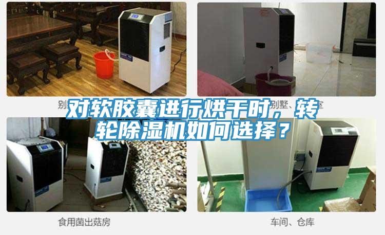 对软胶囊进行烘干时，转轮好色先生免费APP如何选择？