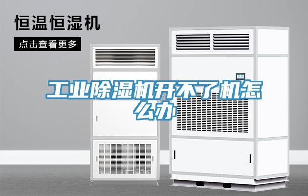 工业好色先生免费APP开不了机怎么办