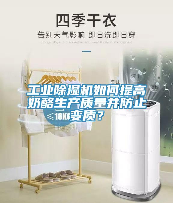 工业好色先生免费APP如何提高奶酪生产质量并防止变质？
