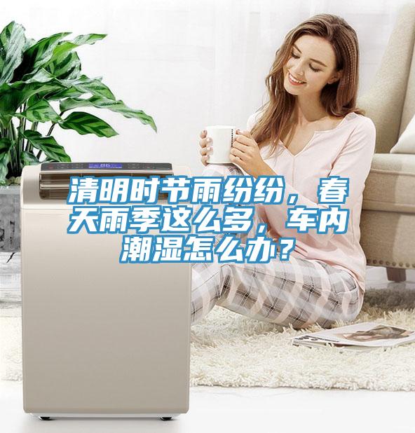 清明时节雨纷纷，春天雨季这么多，车内潮湿怎么办？