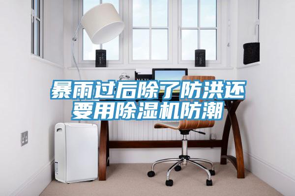 暴雨过后除了防洪还要用好色先生免费APP防潮