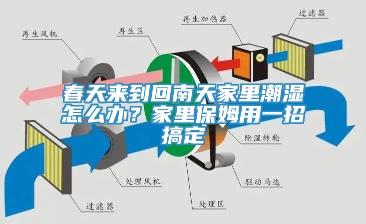 春天来到回南天家里潮湿怎么办？家里保姆用一招搞定