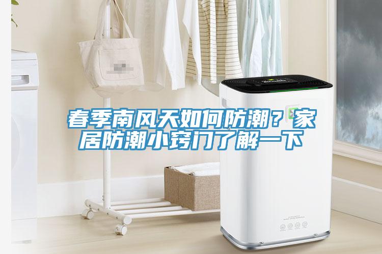 春季南风天如何防潮？家居防潮小窍门了解一下