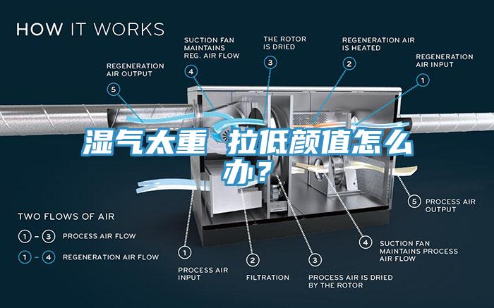 湿气太重 拉低颜值怎么办？