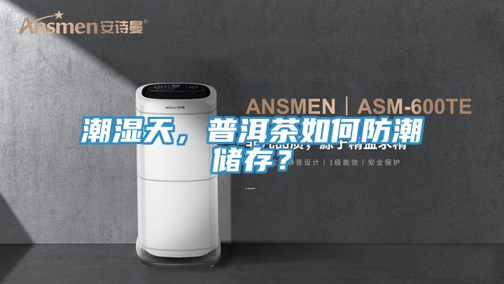 潮湿天，普洱茶如何防潮储存？