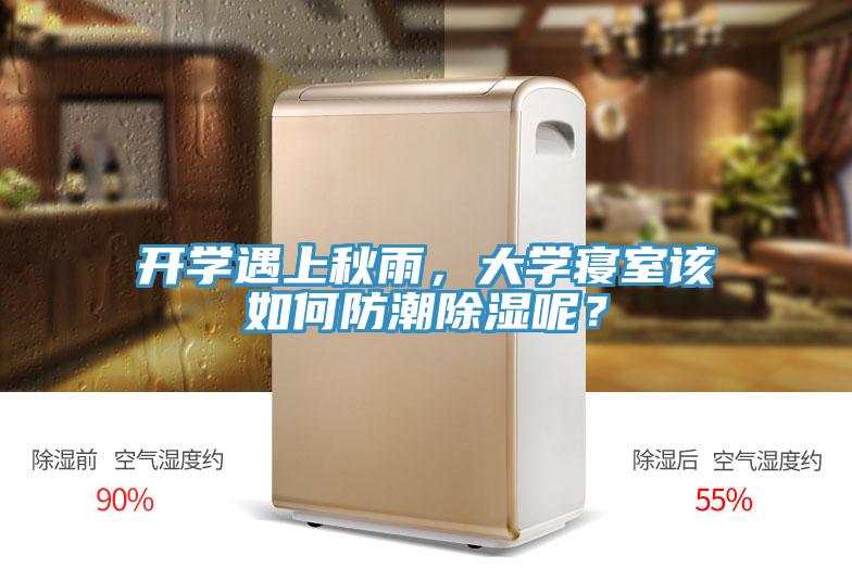 开学遇上秋雨，大学寝室该如何防潮除湿呢？
