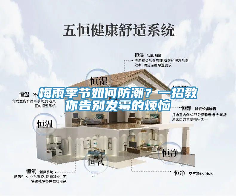 梅雨季节如何防潮？一招教你告别发霉的烦恼