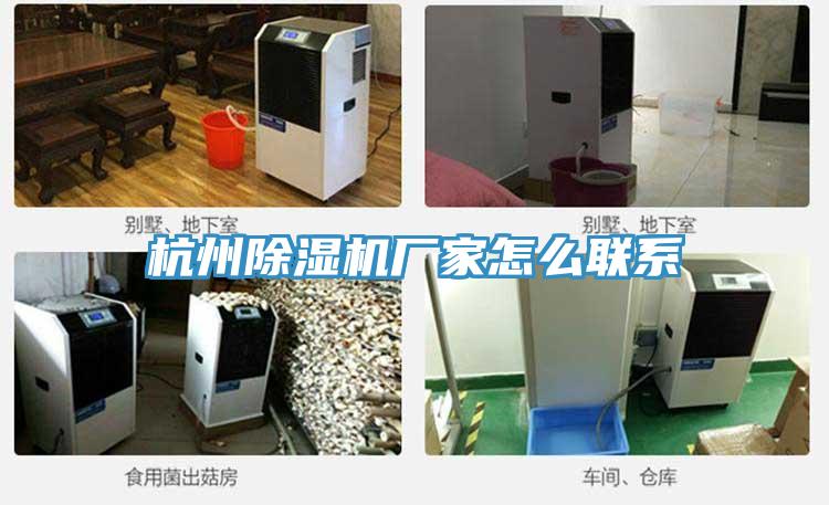 杭州好色先生免费APP厂家怎么联系