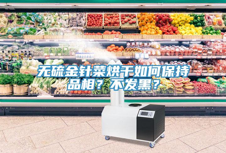 无硫金针菜烘干如何保持品相？不发黑？