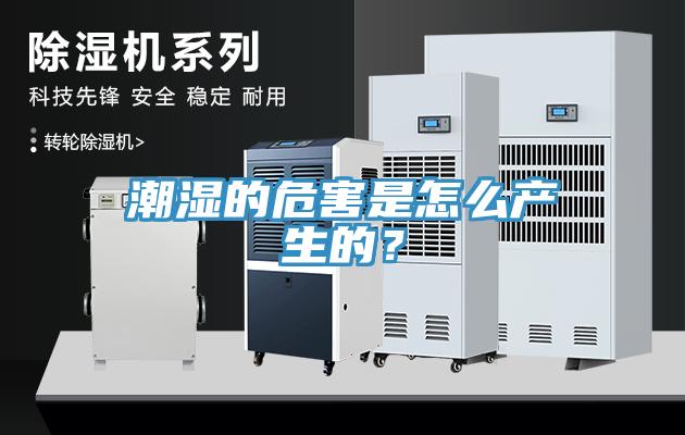 潮湿的危害是怎么产生的？