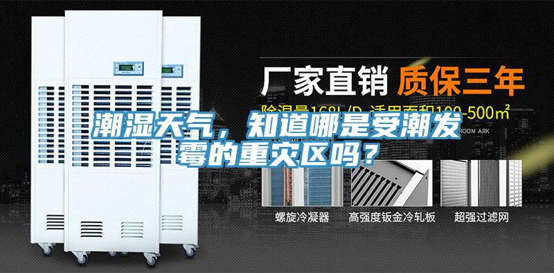 潮湿天气，知道哪是受潮发霉的重灾区吗？