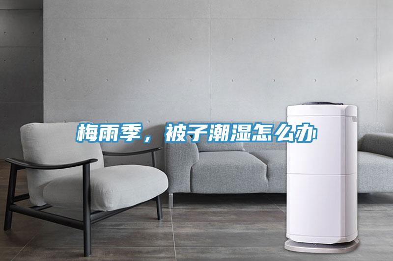 梅雨季，被子潮湿怎么办