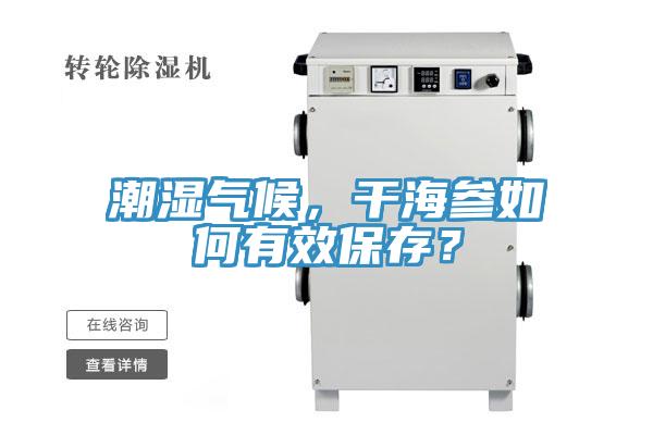 潮湿气候，干海参如何有效保存？