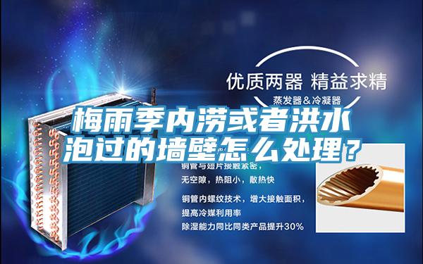 梅雨季内涝或者洪水泡过的墙壁怎么处理？