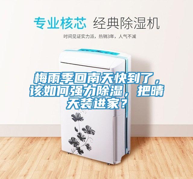 梅雨季回南天快到了，该如何强力除湿，把晴天装进家？