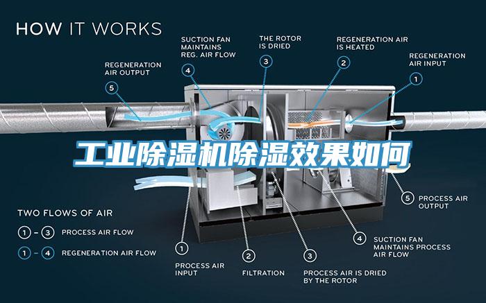 工业好色先生免费APP除湿效果如何