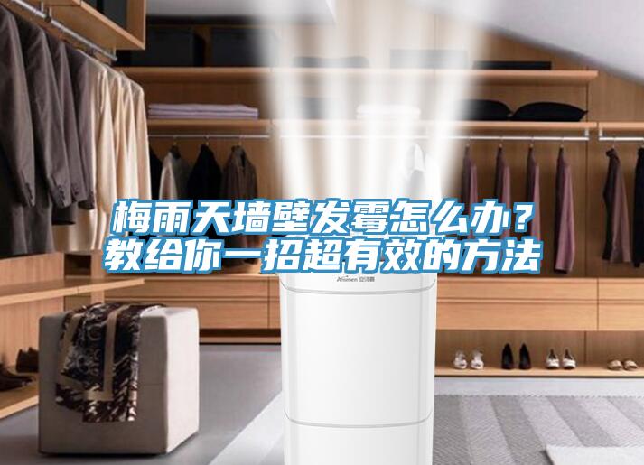 梅雨天墙壁发霉怎么办？教给你一招超有效的方法