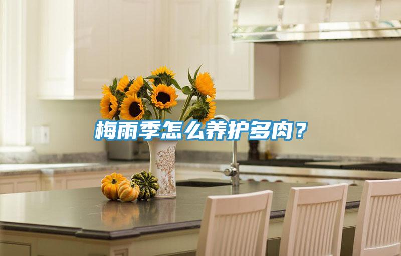 梅雨季怎么养护多肉？
