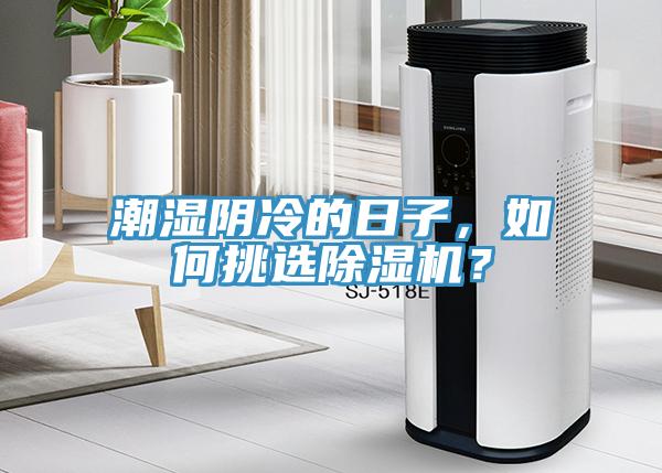 潮湿阴冷的日子，如何挑选好色先生免费APP？