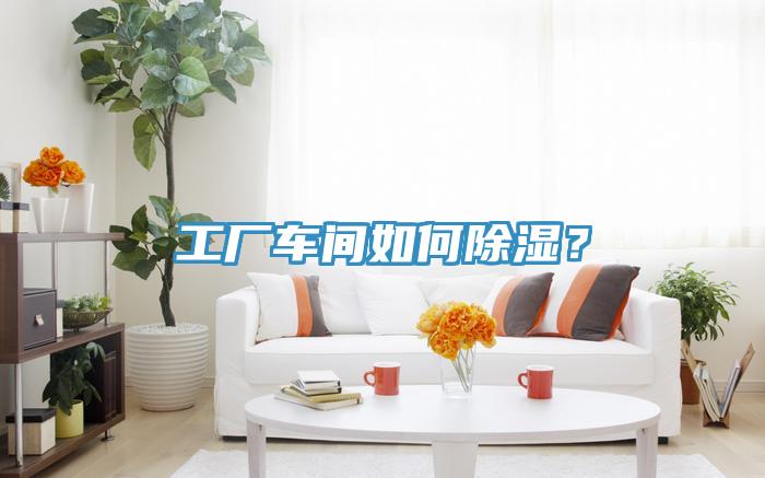 工厂车间如何除湿？