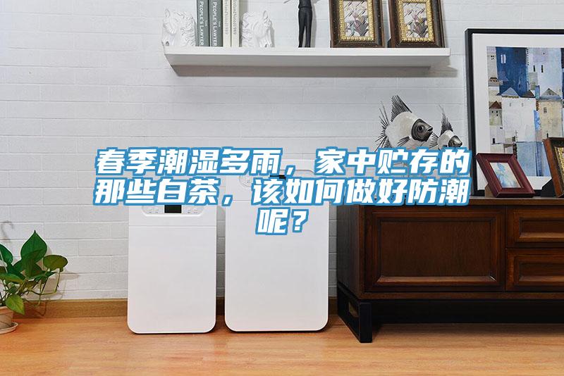 春季潮湿多雨，家中贮存的那些白茶，该如何做好防潮呢？