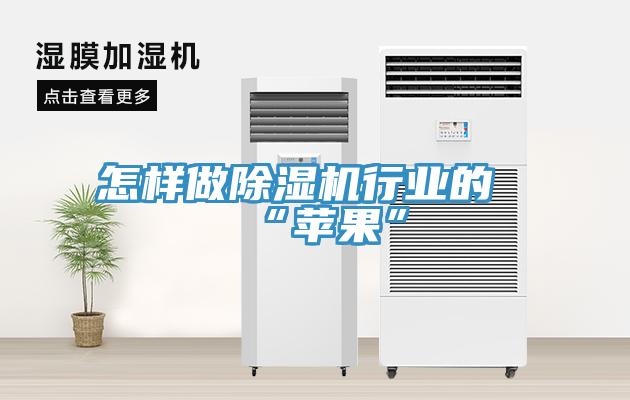 怎样做好色先生免费APP行业的“苹果”