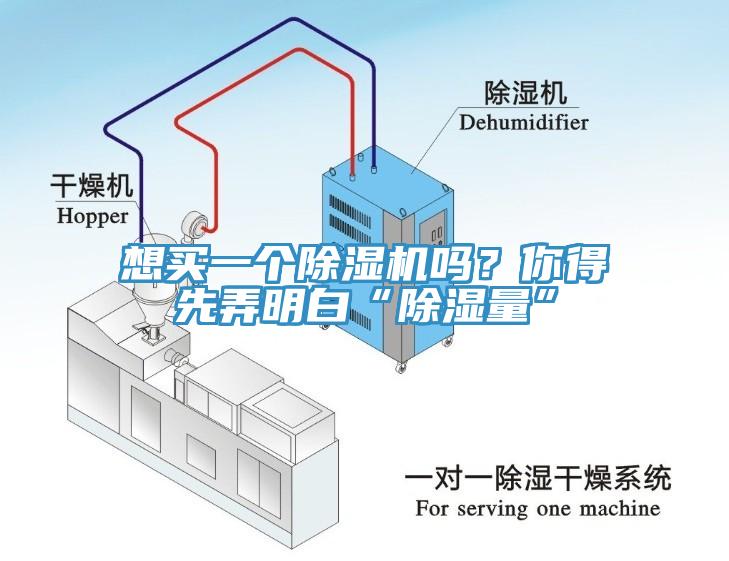 想买一个好色先生免费APP吗？你得先弄明白“除湿量”